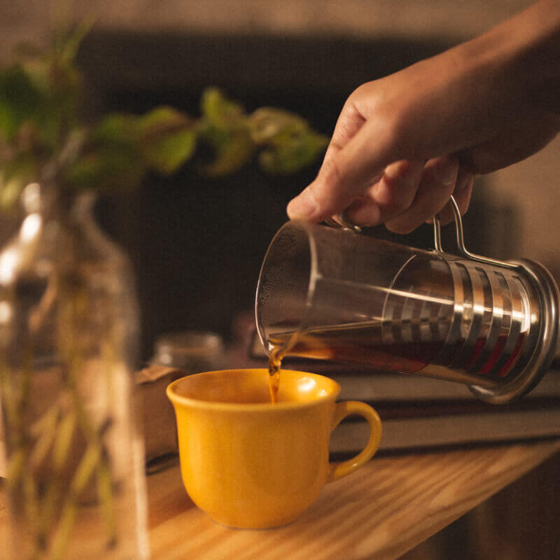 Ciclo Outono 2026 - Cafés Especiais